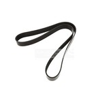 MULTIRIEM DAYCO 10PK1465HD